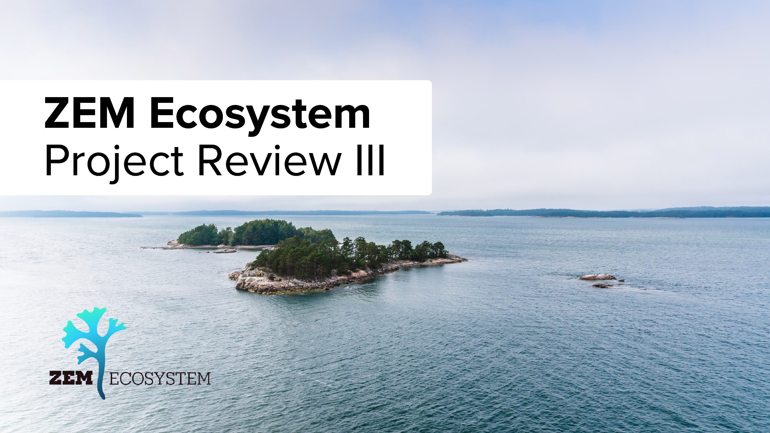 ZEM Ecosystem Project Review thumbnail